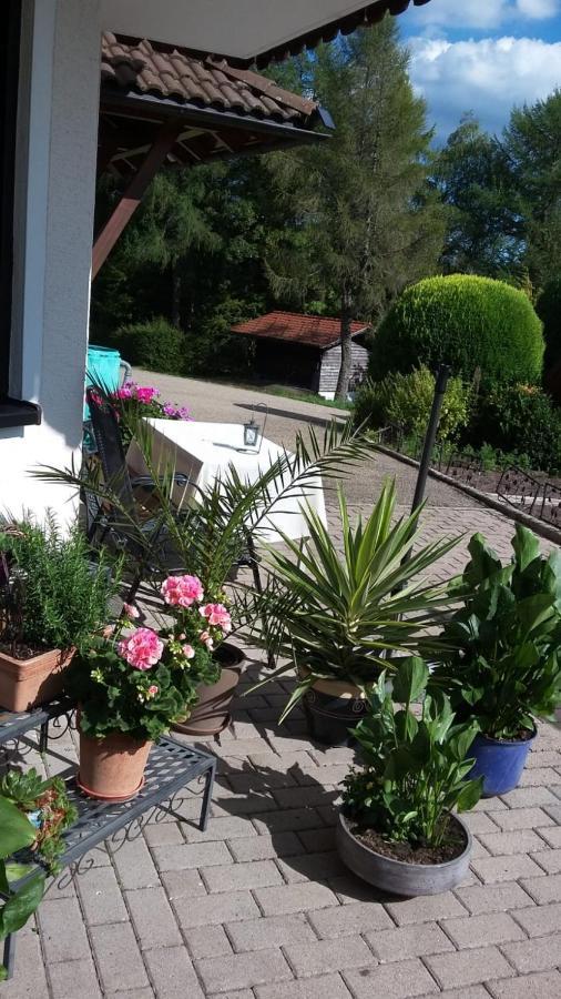 Ferienwohnung Haus Finkbeiner Kniebis Ngoại thất bức ảnh